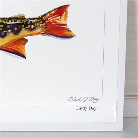 Brook Trout, Appalachian Brook Trout, Speckled Trout, Trout Art, Trout