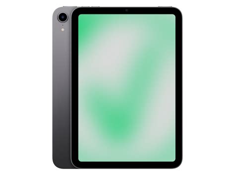 Apple Ipad Mini 6 Gen 2021 256 Gb Wi Fi Space Grau Günstig Gebraucht Kaufen