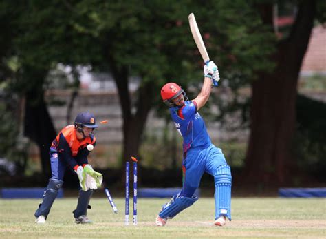 Ned Vs Afg Dream Prediction Today Match Odi World Cup Captain