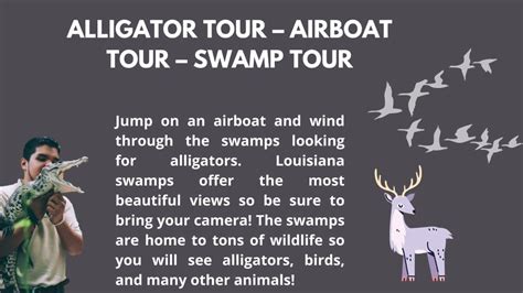 New Orleans Swamp Tour Along With Alligator Tour em 2024