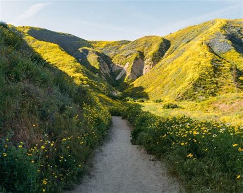 10 Best Hiking Trails In Ventura, California