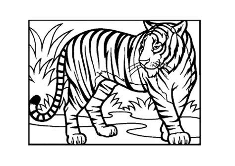 The Tiger Who Came to Tea Resource Pack | Teaching Resources