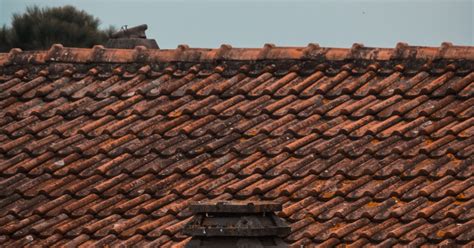 The Top 10 Signs You Need A New Roof Do You Need A Roof Replacement America Roofing