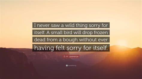 I Never Saw A Wild Thing Sorry For Itself 9