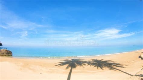 Clear Blue Sky Sandy Beach In Summer Tropical Sea Shadow Of Coconut