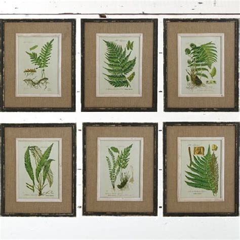 Fern Botanical Prints Framed Wall Art Set Of Antique Farmhouse