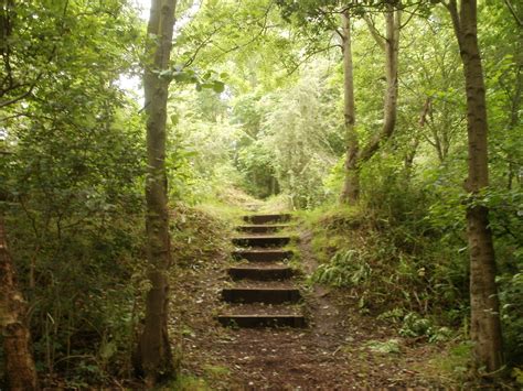 File:Steps in Windy Nook Nature Reserve.JPG - Wikipedia, the free encyclopedia