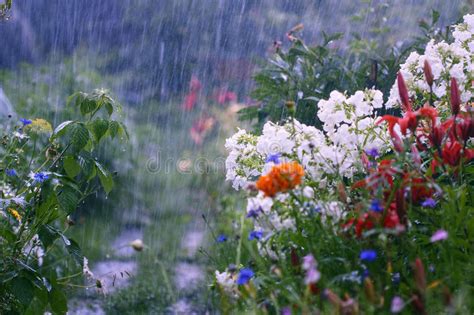 It S Raining If Only Un Peu Jardins Sous La Pluie From Debussy S