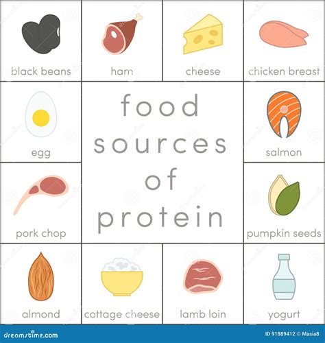 Protein Food Sources