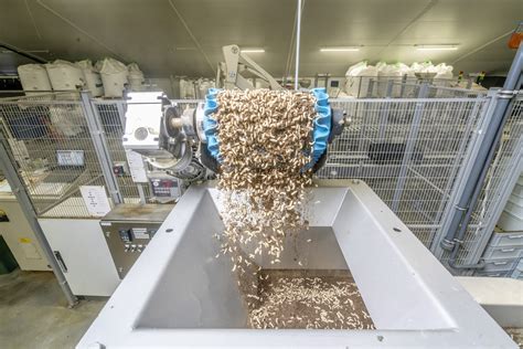 Largest Insect Farm In Northern Europe Equipped Better Insect Solutions