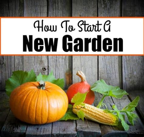 22 Brilliant Vegetable Gardening Tips For Beginners - Life Is Just Ducky