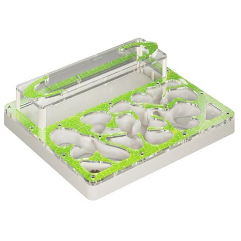 Акриловые муравьиные фермы, купить формикарий из акрила в Москве ...