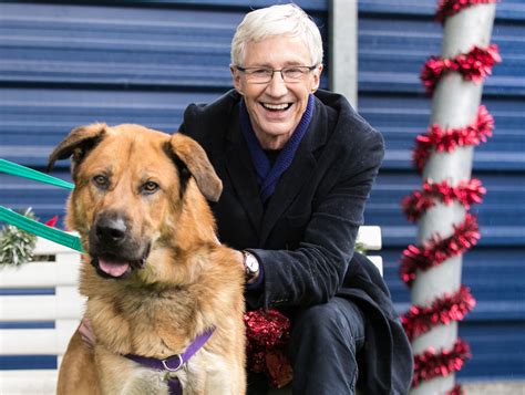 Paul Begins Filming For The New Series Of For The Love Of Dogs — Yours