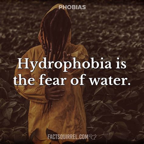 Hydrophobia is the fear of water - Fact Squirrel