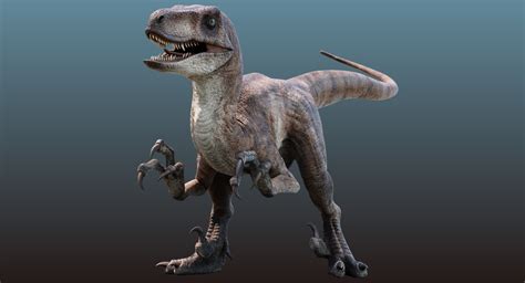 D Velociraptor Animation Raptor Turbosquid