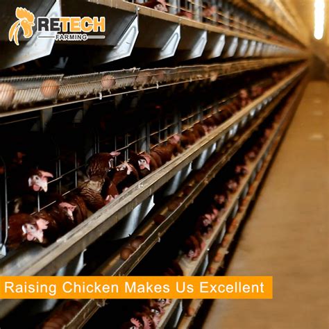 Chicken egg poultry farm equipment automatic layer battery chicken cage ...