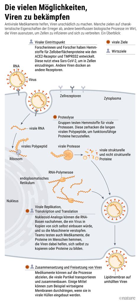 Covid-19: Der Wettlauf um antivirale Medikamente - Spektrum der