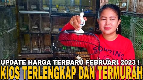 Update Harga Burung Terbaru Kios Terlengkap Dan Termurah Di