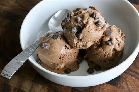 Homemade Double Chocolate Ice Cream Recipe