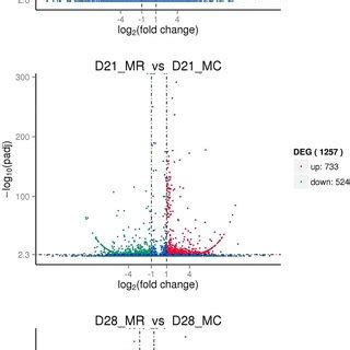 Kegg Enrichment Of Difference Metabolites Pos Positive Ion