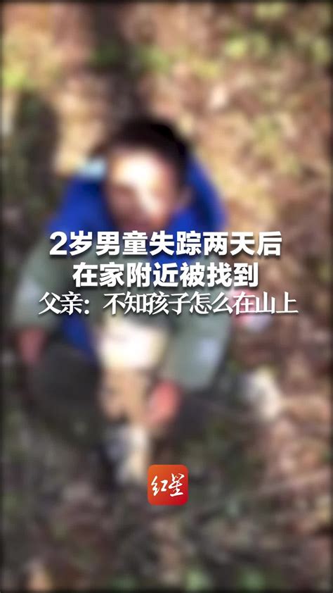 2岁男童失踪两天后在家附近被找到 父亲：不知孩子怎么在山上 凤凰网视频 凤凰网