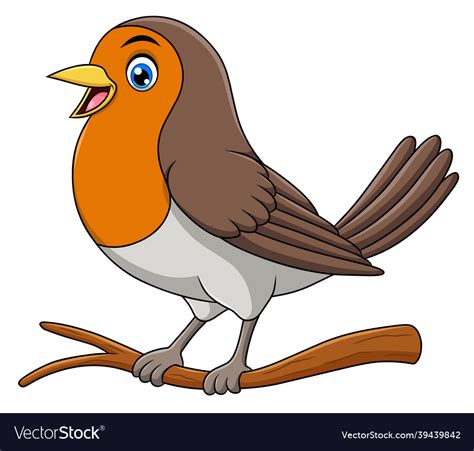 Robin Bird Cartoon