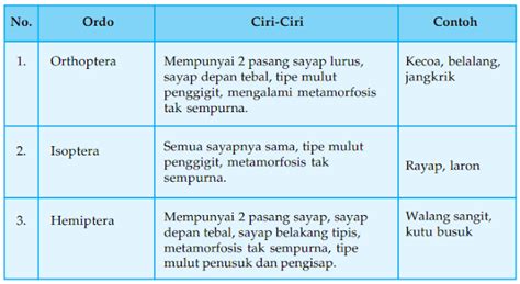 Ciri Ciri Dan Contoh Ordo Insekta Semua Ada