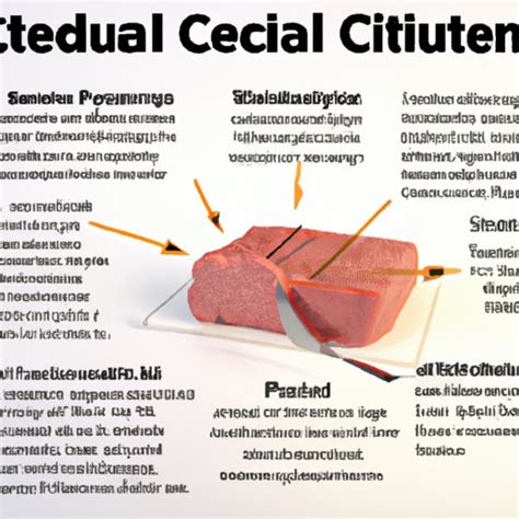 Cultured Meat: Exploring the Pros and Cons of a New Food Source - The ...