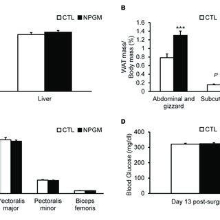 Effect Of Chronic I C V Infusion Of NPGM On Body Composition The