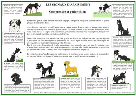 Le langage canin les signaux d apaisement éducateur