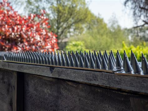 SECONDS Fence Wall Spikes Garden Security Intruder Repellent Burglar