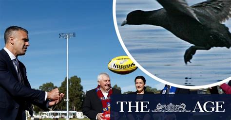 The Afl Have Installed A Frequency Machine On The Fence That Will Emit