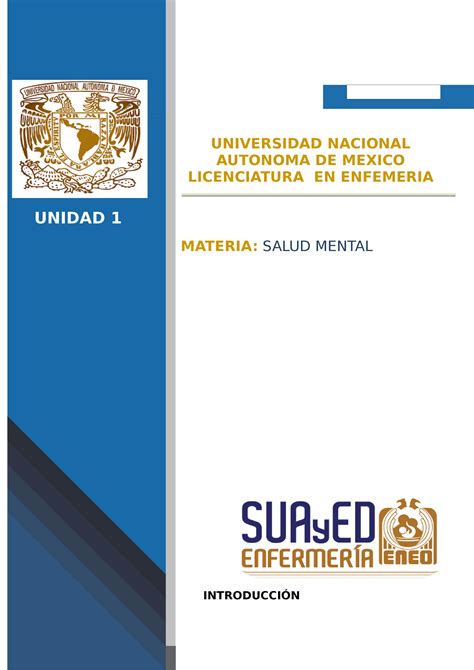 Unidad Salud Mental Actividad Integradora Universidad Nacional