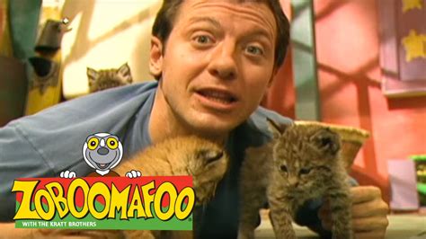 Zoboomafoo Show Youtube at Laura McCarty blog