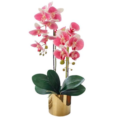 Orchid E Artificielle En Pot