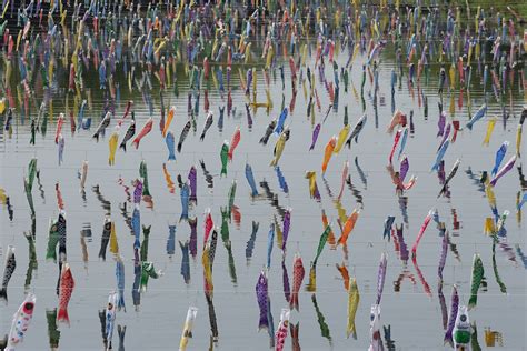 fish   rain   sky howstuffworks