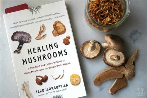 Top Herb Books For Your Home Apothecary