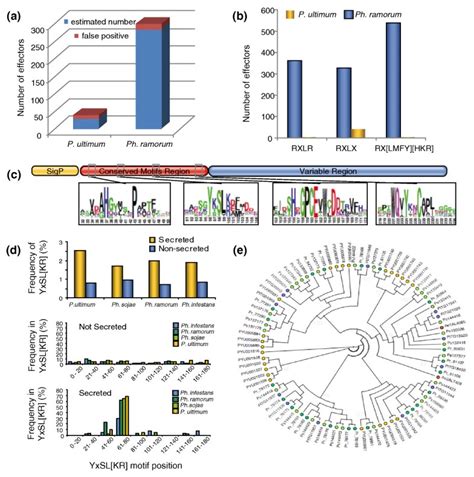 Genome Sequence Of The Necrotrophic Plant Pathogen Pythium Ultimum Reveals Original