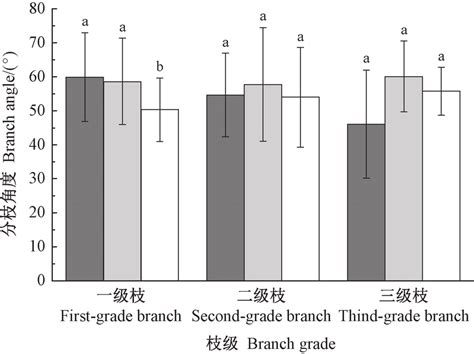 Branch Angle Of Different Grades Of P Tomentosa Under The Variation Of