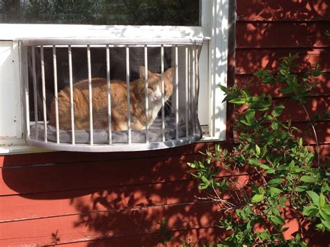 The Cat Solarium Sun Room Package Cat Solarium The Cat Window Box Catio Cat Balcony