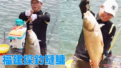 鄧剛釣魚：福建水庫探釣鰱鳙，二三十斤的大鰱連竿，魚護都撐不住了！【天元邓刚】 Youtube