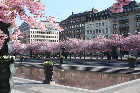 Kungsträdgården For The Greater Column Photographs