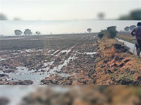 Due To Bursting Of Canal In Ratanpur Girdhari Water Filled In The