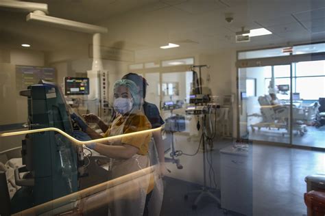 ‘Europe's medical tourism shifts to Turkey’ | Daily Sabah