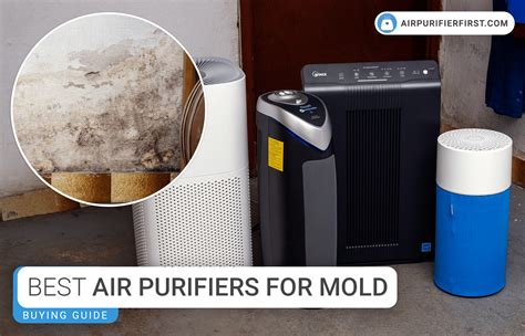 Air Purifier First Reviews Top Picks Buying Guides And Comparison