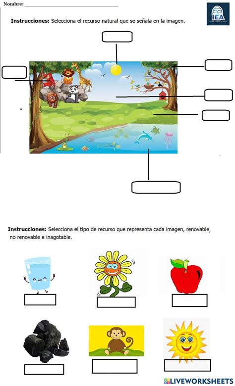 Recursos Naturales Exercise For Elemental Exercise Element