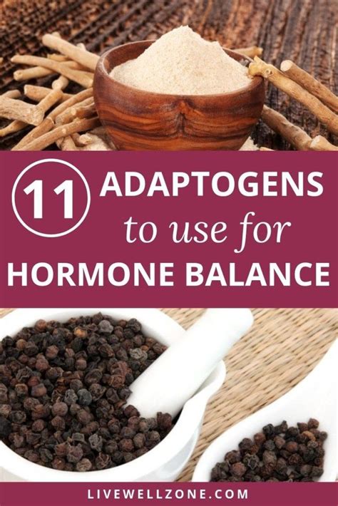 11 Adaptogens For Hormone Balance And Weight Loss Support Artofit