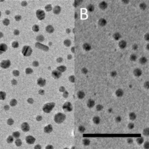 Tem Images Of Agnps A Agnps Pvp B Agnps Citrate Scale Bar