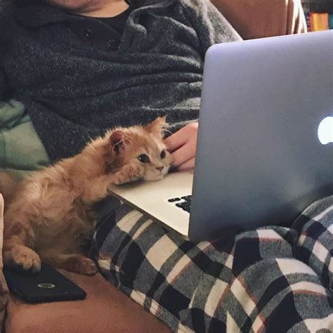 How benji gregory managed his early fame and career shift 10