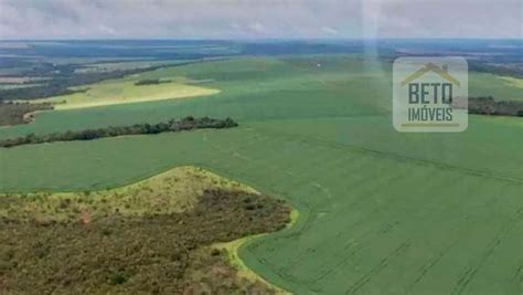 Fazenda S Tio M Em Zona Rural Em Nova Mutum Por R